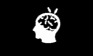 Taste happens in the brain - Foodpairing