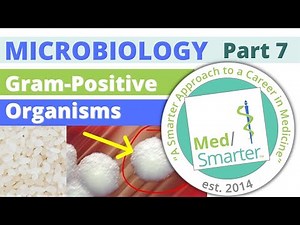USMLE Step 1 | Microbiology | Gram Positive Organisms | Part 7