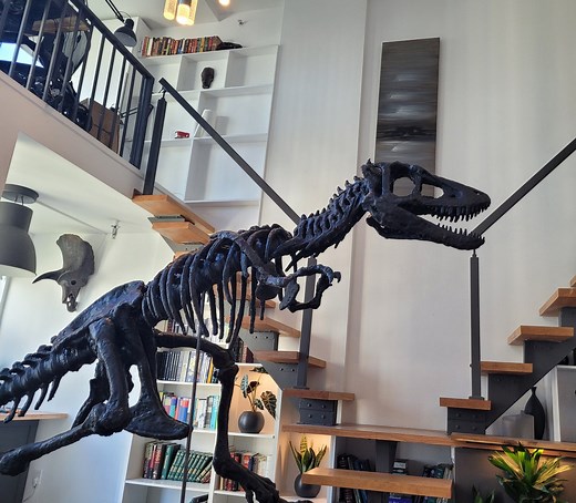 Life Sized Baby T. Rex Skeleton - Etsy