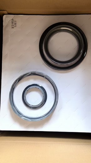 Peugeot and Citroen AL4 Gearbox Repair Essentials