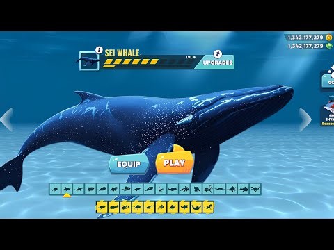 Hungry Shark Evolution 🧬 Giant SEI WHALE 🐋 update coming soon 🔜