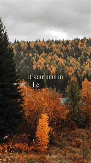 🍂 Your Perfect Lexington Fall Itinerary Starts Here 🍁 From scenic drives to sweet treats, experience the best of the Bluegrass this season — all just moments from The Campbell House. 🚗 Old Frankfort Pike Scenic Byway 🌿 Raven Run Nature Sanctuary 🎃 Wilson Farms & Bi-Water Farm 🚴 Bourbon Country Burn at Kentucky Horse Park Plan your fall getaway where Southern charm meets Kentucky adventure. 🤎 #TheCampbellHouse #VisitLEX #LexingtonKY #FallInKentucky #BluegrassTradition #BourbonCountry #Hors