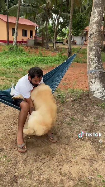 TPC-COMP-D2242-BOTY 20 Top Pet Fails no MUSIC-9x16-SB-V03