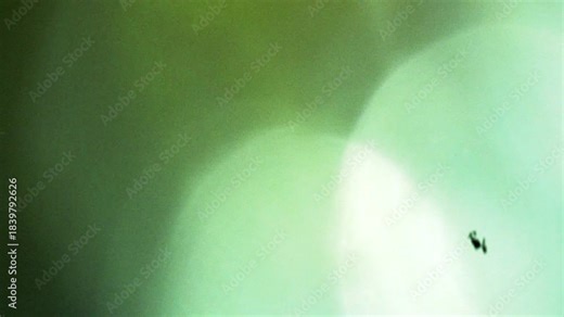 Gritty grunge flash light transition enhanced with bright flash effects and noisy textures for fast-cut video edits