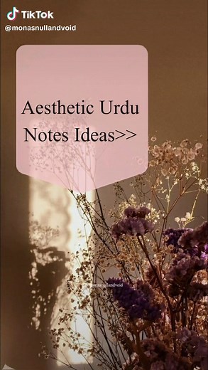 Beautiful and Inspiring Urdu Notes, Captions, and Ideas for Aesthetic Content