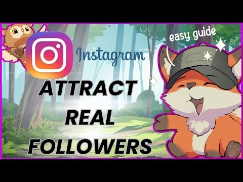 How to Increase Followers on Instagram | Advanced Strategies to Attract Real Followers (Updated)