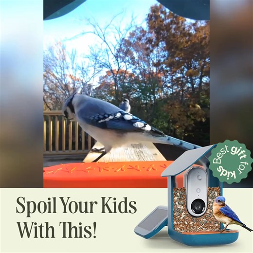 Spoil your grandkids with tech they’ll actually love. ⭐️ Bird Buddy turns birds into backyard stars capturing up-close pics, identifying species, and keeping kids entertained for hours. | Birdbuddy