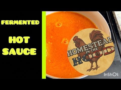 Fermenting Fire: Crafting Your Own Homemade Hot Sauce With a Kick