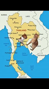 7.3K views · 104 reactions | What happend in Thailand & Cambodia . By cat gives code #cambodiaScamcountry #CambodiaLiesCountry #cambodiaopenedfirefirst #Cambodia #Thailand | ข้ามพรมแดน Daily | Facebook