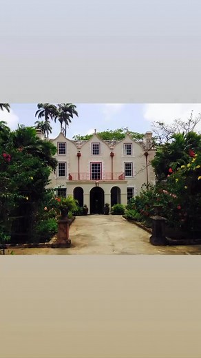 David Rinck on Reels