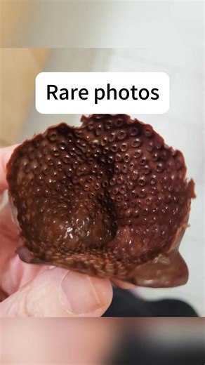 #funny #funnyvideos #funnymemes #meme #usa_tiktok (23) | Archer Walker | Facebook