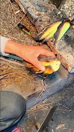 roasted corn 🌽 | stove cooking process