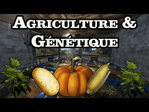 Rust - Agriculture & Génétique [Tout Savoir]
