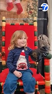 A bird-loving boy tried to keep his fingers from being bitten by an owl while visiting the British Bird of Prey Centre in Wales. 🦉🦉 | ABC7