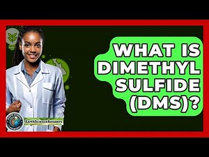 What Is Dimethyl Sulfide (DMS)? - Earth Science Answers