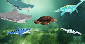 Megalodon Fights Sea Monsters - 下載遊玩 PC 或 Mac 版本 (模擬器)