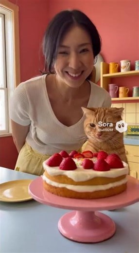 “An adorable cake made by the orange cat! 🧡🐱🎂✨”