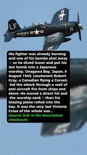 On Fire, He Still Dived to Sink the Warship #short #history #ww2