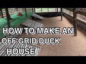 MODERN DUCK HOUSE// COST OF SIMI HANGER DUCK HOUSE// HOW TO BUILD A GOOD DUCK HOUSE AT YOUR FARM