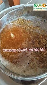 Voici comment extraire son miel 🍯 facilement après récolte