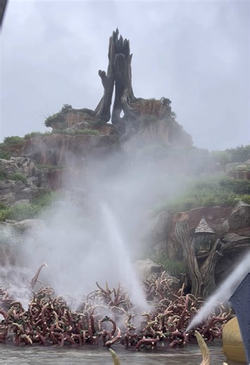 we definitely got splashed, 10/10 would do it again . . #ride #disney #disneyland #fun #fyp