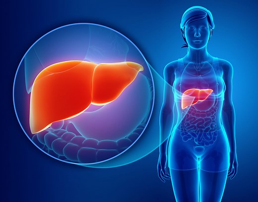 Bilan hépatique : normes, complet, interpréter les résultats