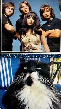 Master Gable Presents Shocking Blue's "Shocking You"=^.,.^=❤️#cat #shockingblue #music#1970s #rock