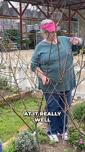 Discover the art of tree pruning and learn how to achieve a perfectly shaped tree. This video provides expert techniques and tips for beginners to enhance the aesthetics of your garden. #TreePruning #GardenCare #ExpertTips #GardenDesign #BeautifulGardens #Landscaping #GardenMaintenance #TreeCare #GardeningTips #Garden Aesthetics | The Arbor Gate