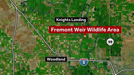 Turkey hunter arrested after fatally shooting another hunter in Sutter County, officials say