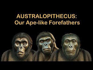 The Genus Australopithecus: Our Ape-like Forefathers | Australopithecus Evolution | Human Origins