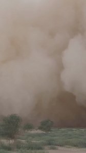 307 reactions · 13 shares | Why should you choose the GTX from Southern for your next tilt trailer? It's simple: ✅ 8 inch I-Beam Frame for durability ✅ Winch Plate & Roller for easy loading ✅ Drive over fenders for a FULL 102 inches of loading room ✅ 5-year axle, 3-year structural, & 1-year component warranty Get yours at Southern today! | Southern Trailers | Facebook