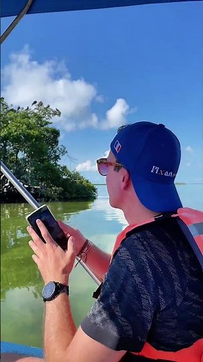 Sian Ka'an 🇲🇽🐬🌴 As-tu déjà visité cette réserve naturelle? #siankaan #pourtoi #mexique #pixanriviera