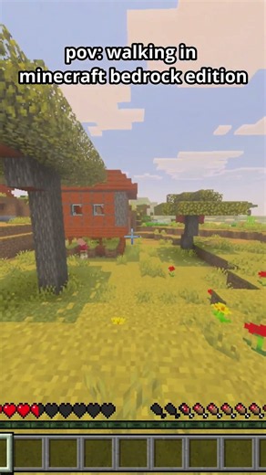 pov walking in minecraft bedrock edition #minecraft