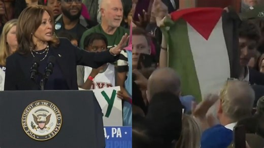 US Vice President Kamala Harris has been heckled by pro-Palestinian protesters during a rally in Philadelphia. | Sky News Australia