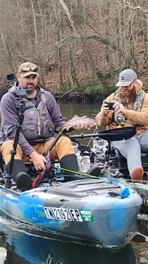 Rainbow Trout Love a Jerbait