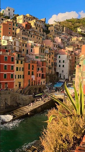 Italian Riviera Magic: Riomaggiore Viewpoint Beach & Harbor Scene
