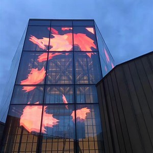 [Hot Item] Customizable Outdoor P3.91-7.81mm Transparent Glass Display LED Wall