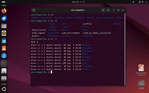 Ubuntu操作系统的基础命令演示！