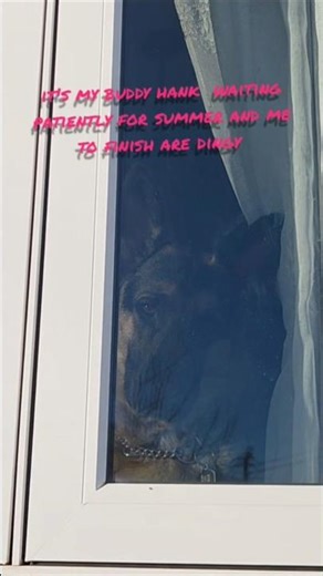 Sunny day #sailboat #diy #travel #woodworking #woodenboat #boating #boat #sailing