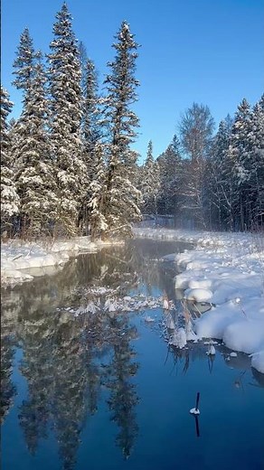 The quiet beauty of Itasca in winter. #shorts #nature #minnesota