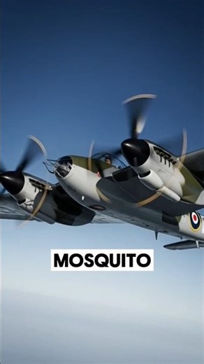 Why Did the RAF Ground Mosquitos in Burma?