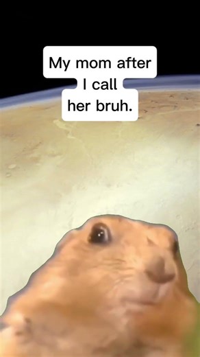 Why she gotta take it so seriously..... #funny #subscribe #memes