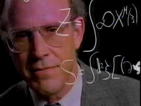 1992年 NTTデータ通信株式会社 デイビッド・ジョナサン・グロス編