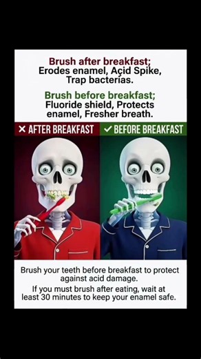 🪥 Brush Before vs After Breakfast? The Better Choice for Your Teeth #facts #health #teeth