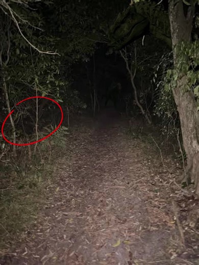 I love late night walks #fyp #spino #spinosaurus #indominousrex #jurassicworld #jurassicpark #dino #dinosaur #memes #nokia #telephone