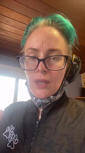 Grooming Guide: How to Shave Poodle Feet