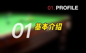 BarryStark斯诺克教程01基本介绍