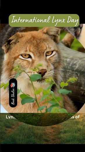 International Lynx Day, 11th June