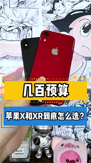 几百预算 苹果X和XR到底怎么选？