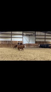 Had a good time yesterday at the Kenzy Ranch for one of the Midwest cutters cuttings. Got some exposure on my colts in a 2 handed class (you get to guide your horse and help out VS real cutting - hand down). | Tate Cowan